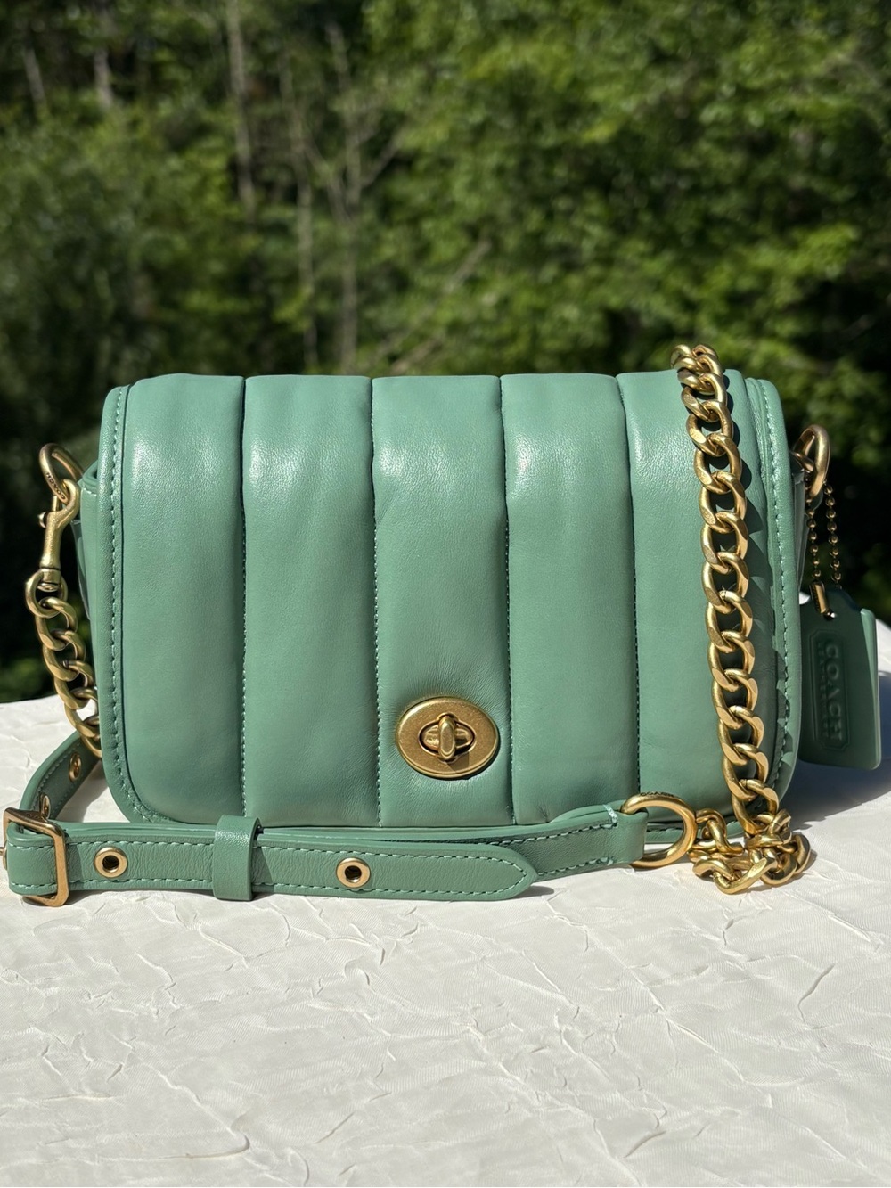 COACH Limited Edition Dinky 18 With Quilting Sage Green C3843